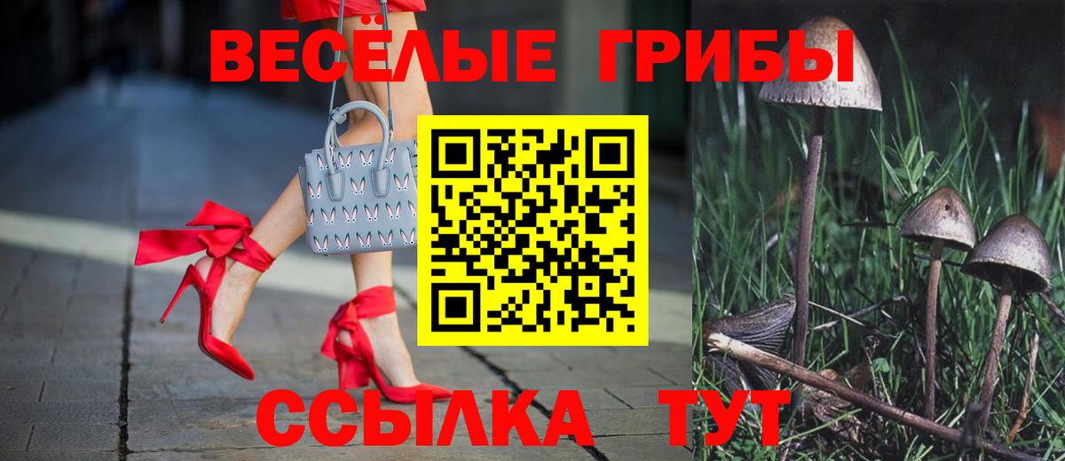 купить наркотик  Галлюциногенные грибы Cubensis  Вход с VPN  Белебей  Псилоцибиновые грибы Magic Shrooms 